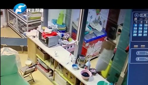 酒店大堂女子围巾可耻行动 视频曝光令人惊讶的眼镜(海南女子大闹酒店大堂)