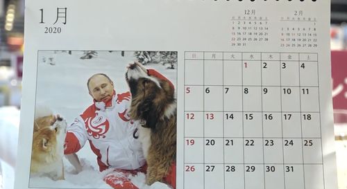 普京2020日历再次畅销日本 商家说年轻人更喜欢买(2020年整年的日历图)
