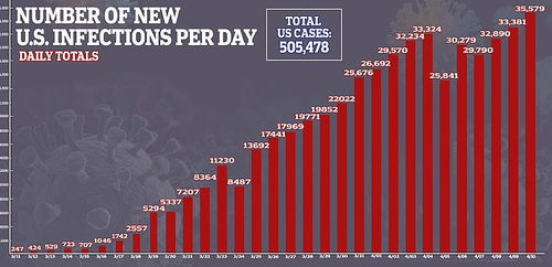 为什么黑社区(感染率)比别人高3到4倍?特朗普说