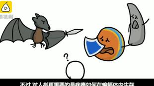 为什么蝙蝠身上有这么多致命病毒?蝙蝠对病毒的免疫力有多强.(为什么蝙蝠身上有病毒还不会死)