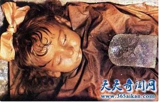 新娘木乃伊 橱窗里的模特是新娘模特