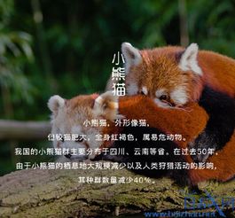 大鳞白鱼、异龙鲤、滇池蜥蜴等8种生物完全灭绝!