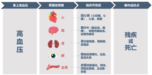 高血压和肥胖是缩短寿命的最强遗传因素(肥胖为什么引起高血压)