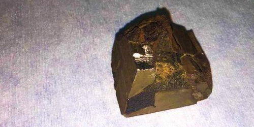 陨石中发现蛋白质,暗示地外生命存在?(玛瑙陨石含有蛋白质吗)