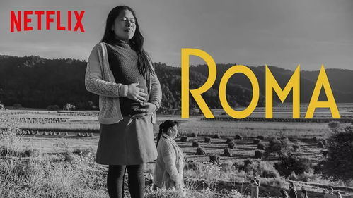 2019Netflix原创剧最受欢迎