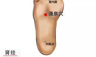 按摩足底失眠穴,治疗失眠的方法,失眠按摩脚底哪个部位(足底失眠点按摩很痛)