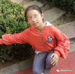 大连13岁男孩蔡某某杀害10岁女孩王某事件(大连13岁男孩蔡泽明现状)