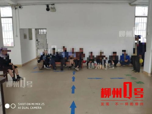 柳江6名男女在密林里干龌龊事被抓(秦皇岛柳江医院看男女)