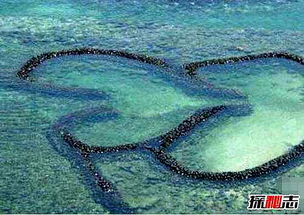 2002年台湾澎湖海底发现10000年前的远古文明古城遗址(2002年3月30日台湾)