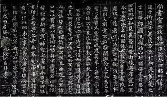 钟会赢得了司马昭的信任(钟会和司马昭关系好么)