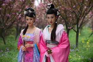 古代历史上最美的十大好色女子：胡充华、赵合德、夏姬、赵飞燕(历史上古代最美的女人)
