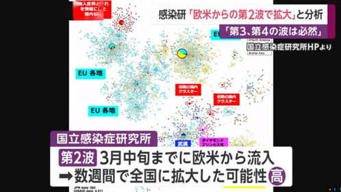 日本国立传染病研究所称日本新冠病毒或来自欧洲(日本国立传染病研究所介绍)