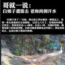 河北云梦山惊现4米白蛇尸体被疑遭雷击 白娘子修行失败?(云梦山河北的好还是河南的好)