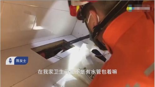 女子被厕所里半夜诡异叫声吓坏 打开管道看到黑压压一片