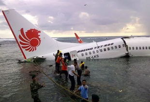 乌克兰飞机失事事件：乌克兰波音737-800型客机坠毁造成176人死亡(乌克兰飞机表演失事)