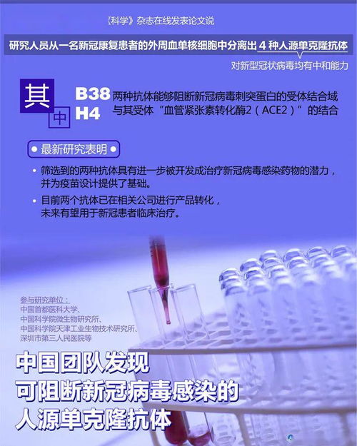 中国团队发现可阻断新冠感染抗体 有望用于抗新冠药物(中国团队发现可阻断新冠感染抗体)