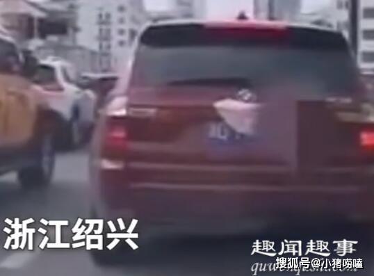 豪车车牌上惊现粉色内裤 以为是遮挡号牌没想到结局惊人反转
