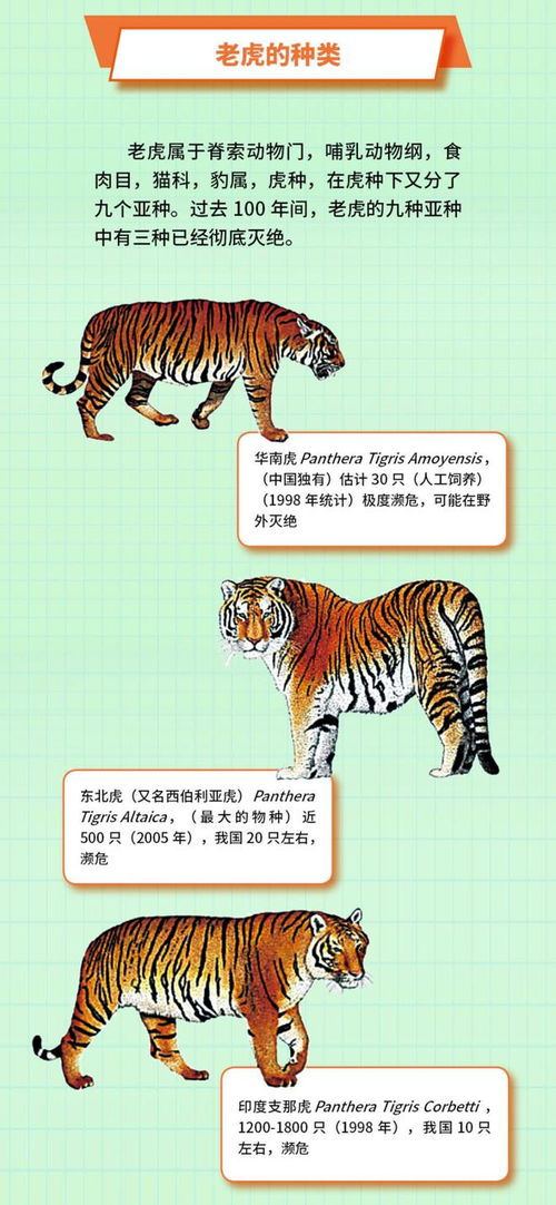 我国十大濒危动物有哪些 中国十大濒危野生动物(中国十大濒危动物)