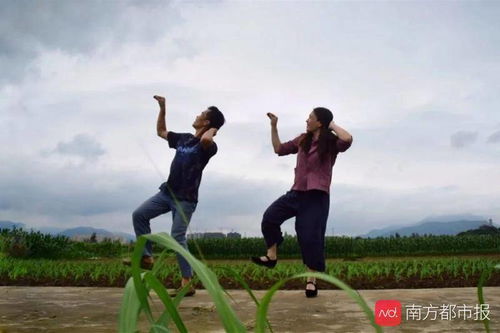 农民夫妻在田间跳自创舞,火了!网友:羡慕,幸福是藏不住的。(农民夫妻在田间跳曳步舞)