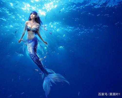 世界上有美人鱼吗?(世界上有九尾狐吗)