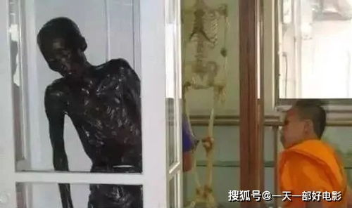 如果孩子不好,但要被细伟吃掉!(孩子咳嗽不好)