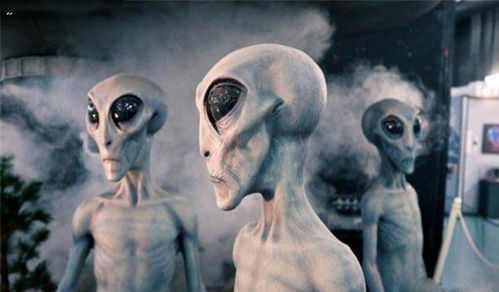 中国UFO悬案调查:飞棍出没的世界(中国ufo悬案调查谁在背我飞行)