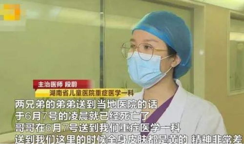 爷爷出去采摘野生蘑菇 一家人吃下后腹痛腹泻 被毒蘑菇假愈期欺