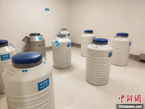 四川精子库紧急:最高补贴5000元,学生为主力!