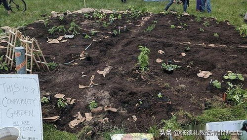 成立自治区这群美国示威者仅5天就开始了在线求助生活物资.