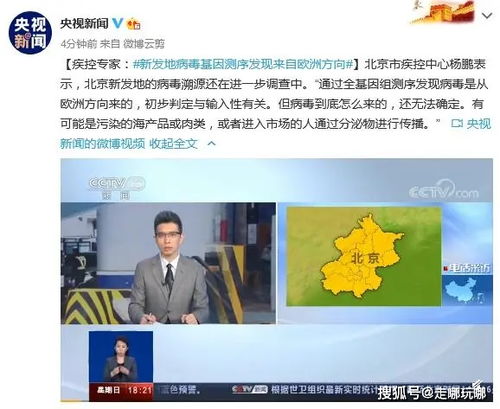 北京新发地病毒溯源仍在进(北京新发地市场疫情病毒来源)