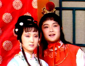《红楼梦》第十九回切切割宵花解语(红楼梦第十九回内容概括)