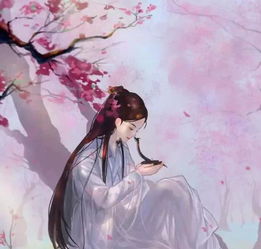 六本古言女主重生复仇文,女主人无情复仇重生,势必扭转世界!