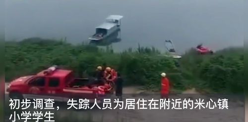 重庆8名落水小学生均无生命体征(重庆落水事件)