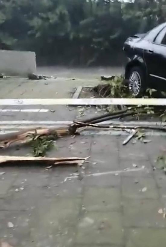 都江堰一越野车坠河：都江堰市聚源镇车辆坠河交通事故(都江堰越野车坠河最新消息)