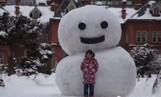 东北雪人大学真实案件 07年哈尔滨雪人肢解案破了没(08年东北雪人碎尸案哪个大学)