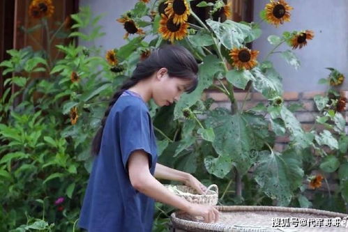 越南人抄袭李子柒 越南博主抄袭李子柒的视频登上热搜(越南人抄袭中国的电视剧)