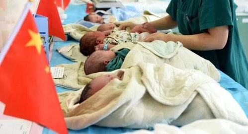 生孩子最多的女人！一辈子生69个孩子破世界记录(世界上生孩子最多的女人)