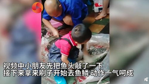 小学生爱做饭,却担心父母(教育部要求小学生做饭)