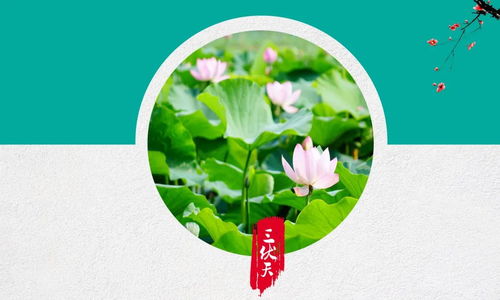 2020年三伏天有40天!(2020年三伏天时间表)