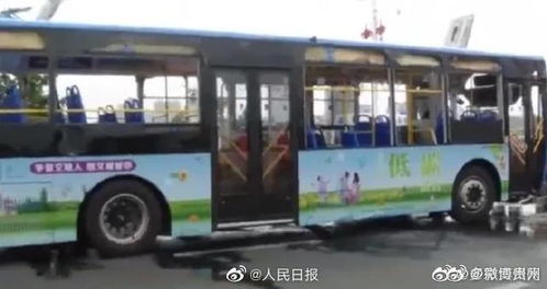 高二乘客小芳回忆起公交车掉进湖里的过程