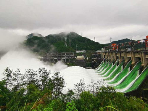 杭州新安江水库9个泄洪闸孔全部泄洪(杭州新安江水库钓鱼)