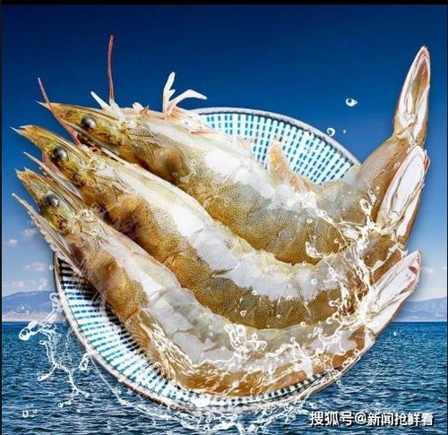 注意!厄瓜多尔冻南美白虾外包装检测到新冠肺炎(厄瓜多尔水冻和盐冻)