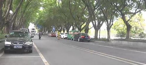 司机在车里睡觉,一睡就醒不过来(货车司机在车里睡觉安全吗)