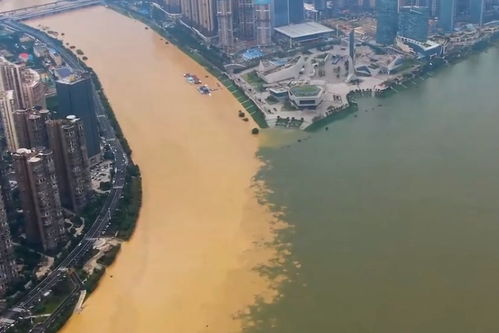 洪峰过境,降雨初歇 长沙浏阳河与湘江交汇处 湘江高水位顶托的(降雨过后洪峰经过时间)