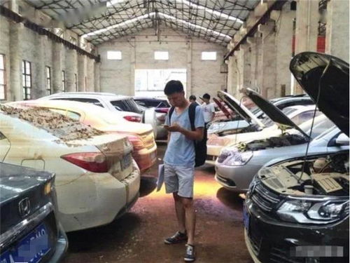 豪车因暴雨浸泡在水中 车主说还有8辆 修理费用几十万左右