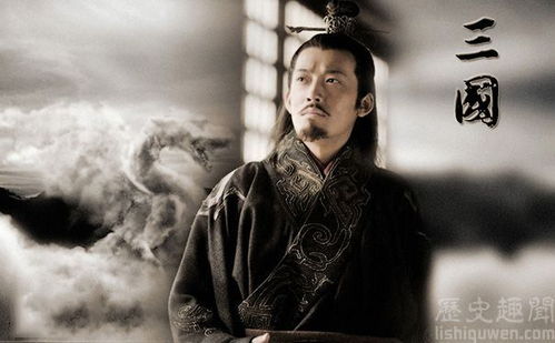 《三国志》描述孙权的外貌,方颐大口,碧眼紫胡子,这不是白人的
