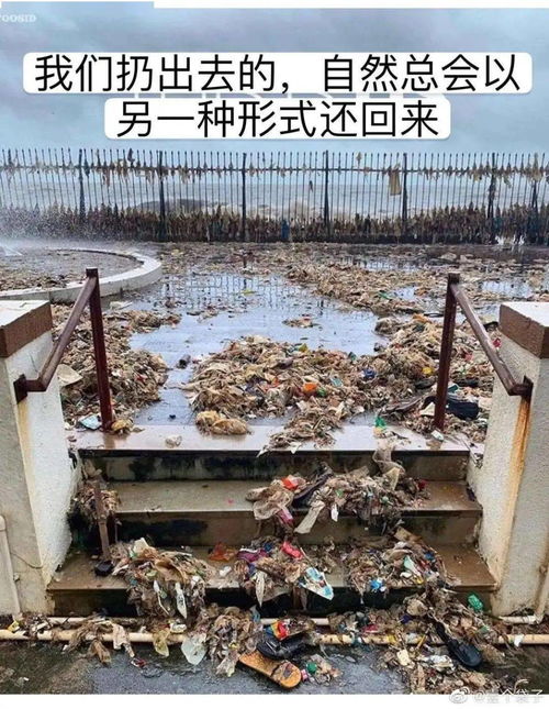 1997年,一名女子花500多元买了一间破旧的黑屋,被朋友嘲(1997年今年多大)