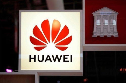 英国已决定停止5G华为设备用于建设(英国停止投资移民)