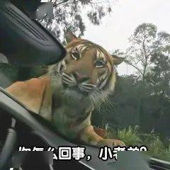 郎利剑:又兴奋又害怕,也不知道该怎么办!