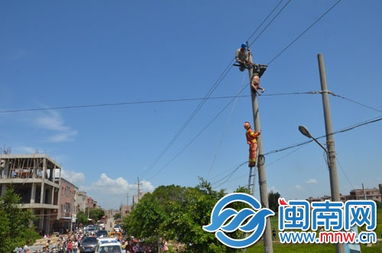 不惜掏鸟窝玩命!爬电线杆挖鸟巢,安徽一男子不小心触电